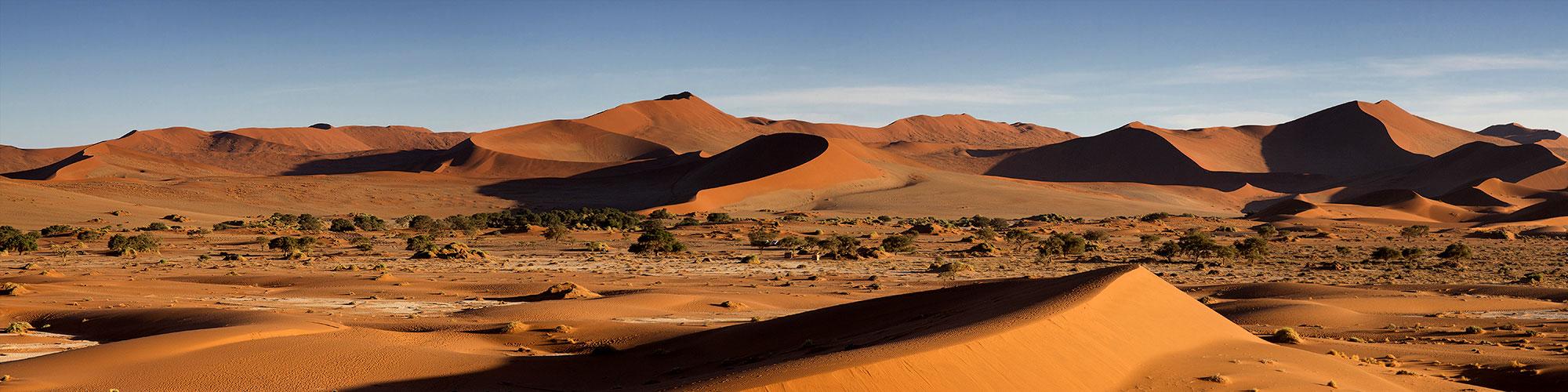 Wings Over Namibia