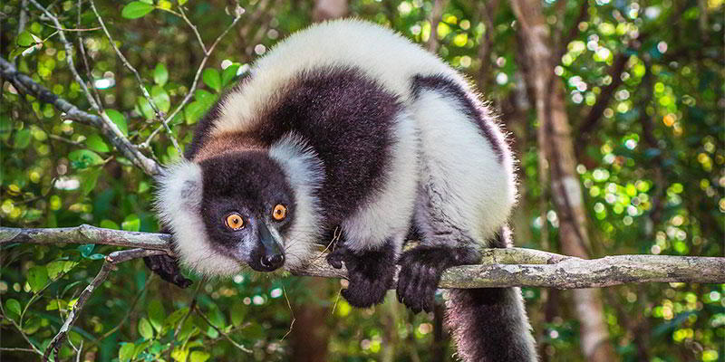 Madagascar : United Travel Group