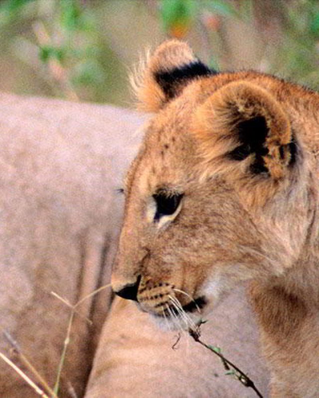 Kenya