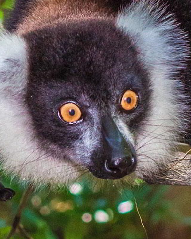 Madagascar
