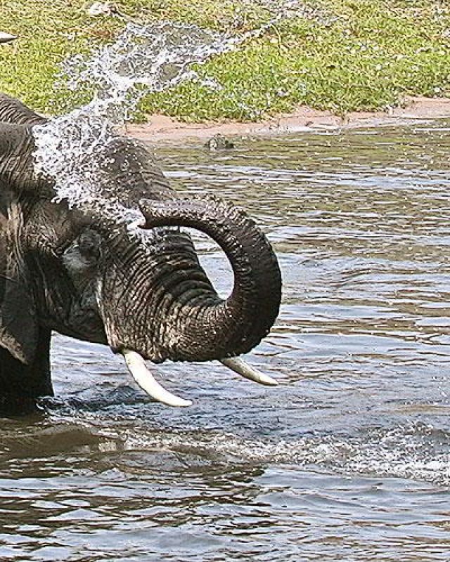 Botswana