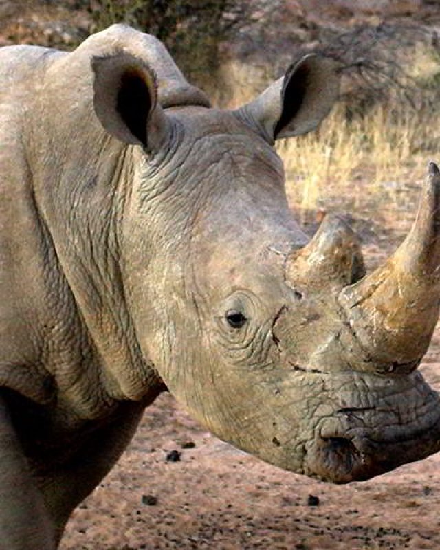 Namibia