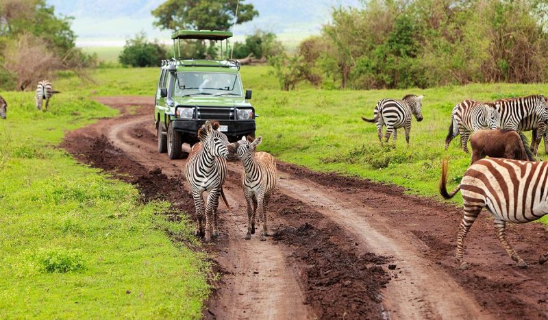 Game drive at Ngorongoro Crater.