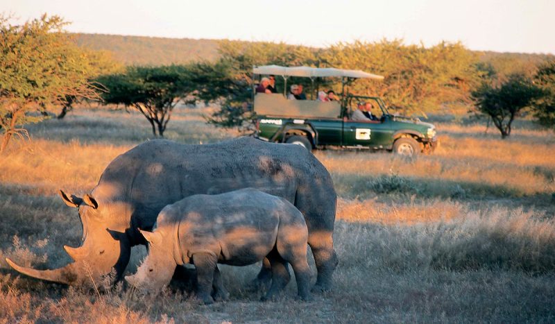 Game drive