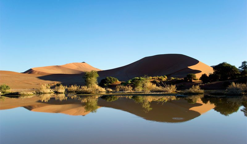 Sossuvlei oasis (photo by Dana Allen)