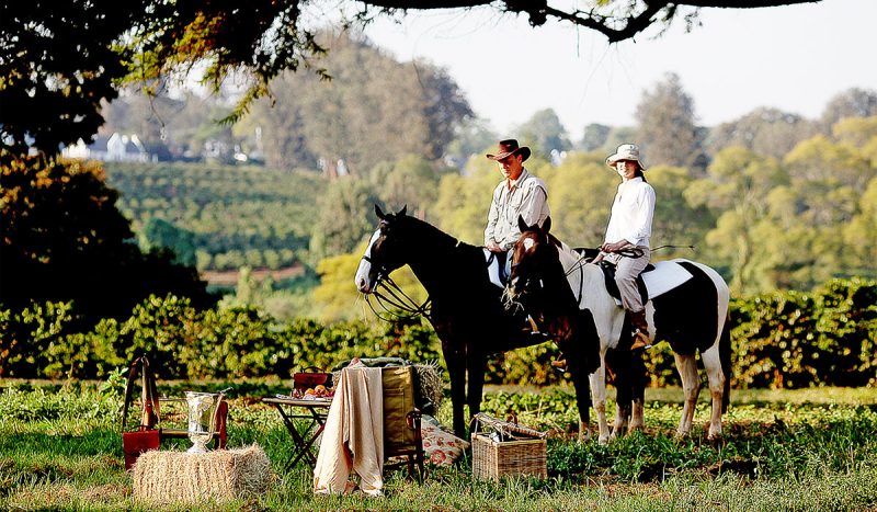 Horse riding and picnic at the Manor at Ngorongoro.