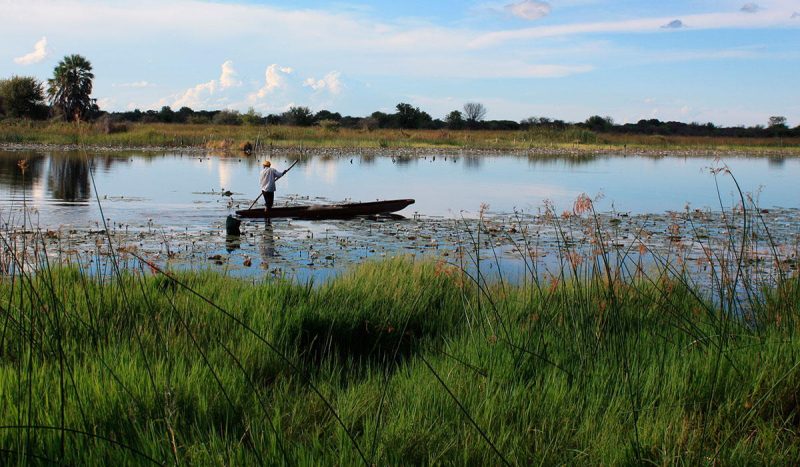 Silently glide through the water in your mekoro.