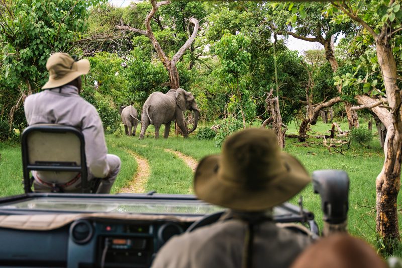Drive carefully - road block ahead!