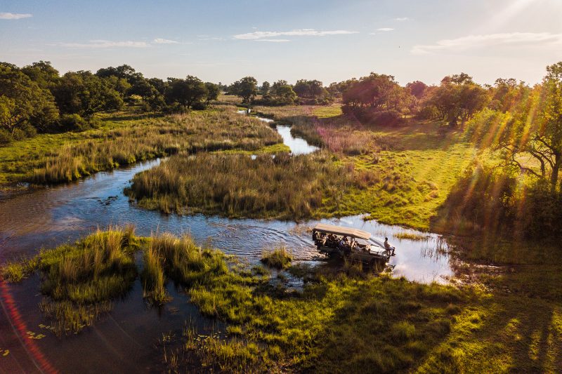The Delta comes alive in the early morning sun.