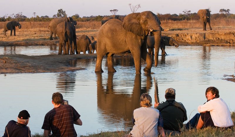 Game viewing up close and person is part of the Hide experience.