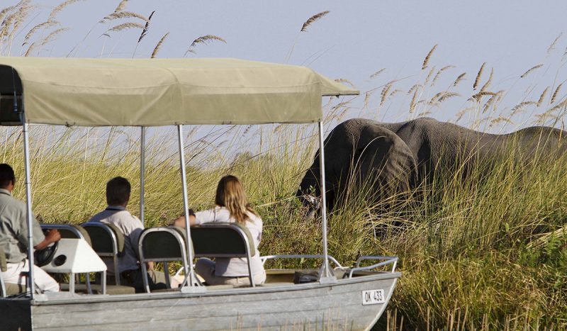 Game viewing from the Chobe River.