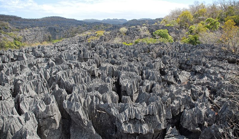 Tsingy formations at Ankarana