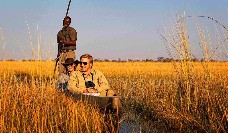 Enjoy game viewing in the mokoro
