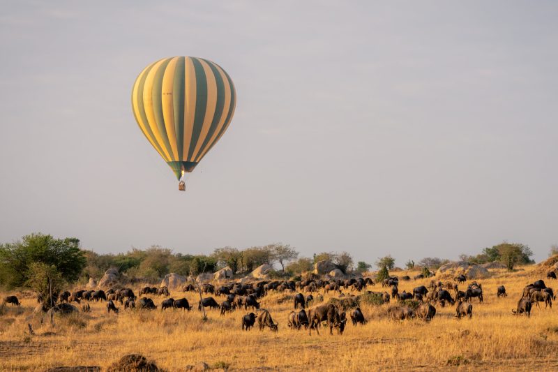 Hot Air Balloon Safari over the plains of the Serengeti.