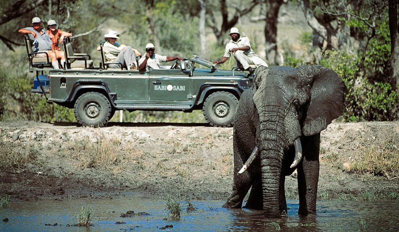 Game drive at the Kruger National Park.