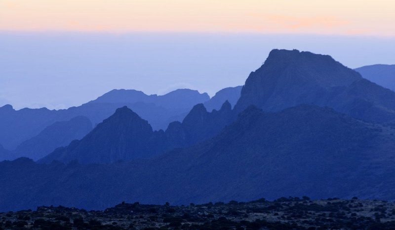 Mt. Kilimanjaro - on the Shira Plateau