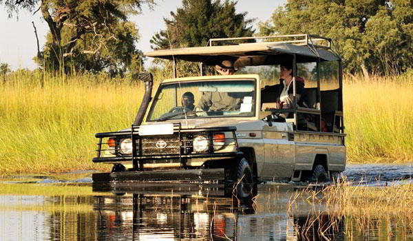 Pure Botswana