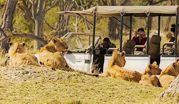 Botswana's Deserts & Deltas
