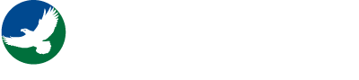 United Travel Group — journeys to extraordinary places